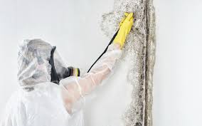 Best Mold Remediation for Healthcare Facilities  in Centralia, IL